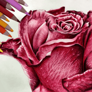 Professional Visual Art Course (Monthly Subscription)