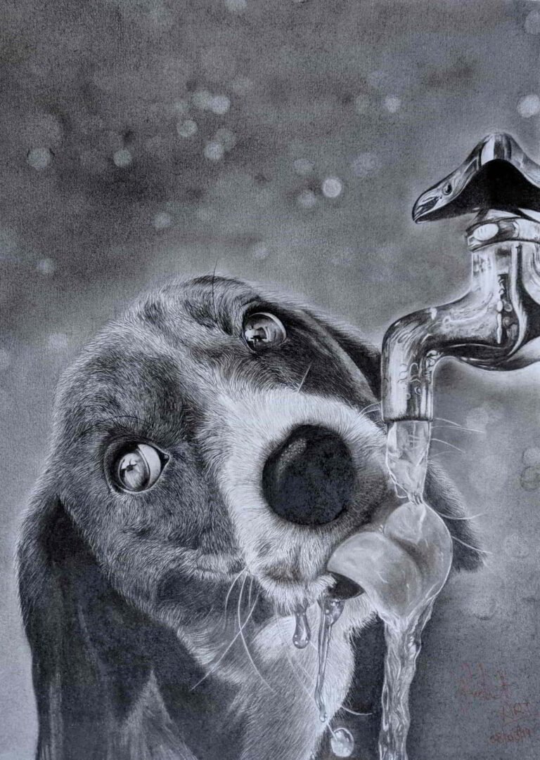 Graphite Charcoal Portrait Dog Free Art Class Shanky Studio
