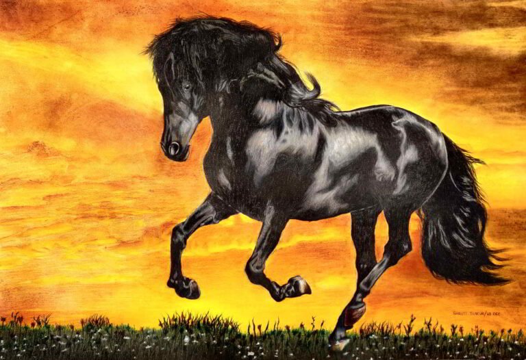 Shanky Studio Pencil Painting Horse Free Visual Art Class