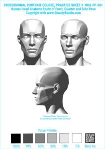 Human Head Anatomy Front Pose